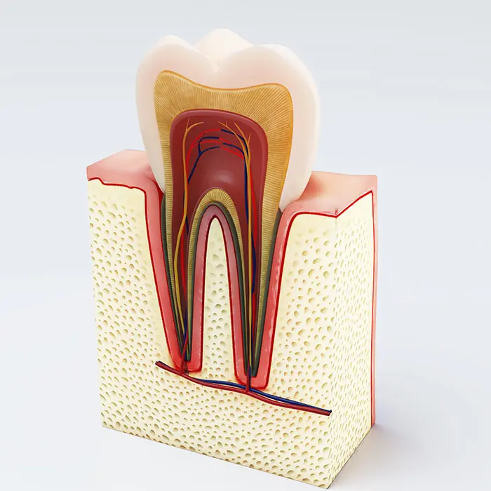 blog image